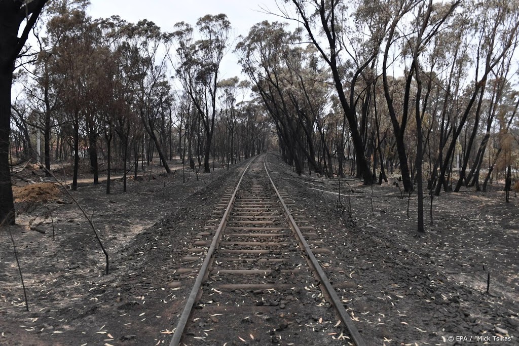 Regen in delen Australië waar natuurbranden woeden