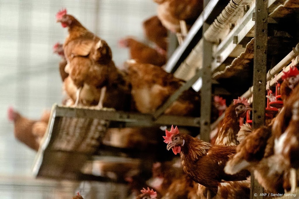 Belgisch kweekvleesbedrijf Peace of Meat in Israëlische handen