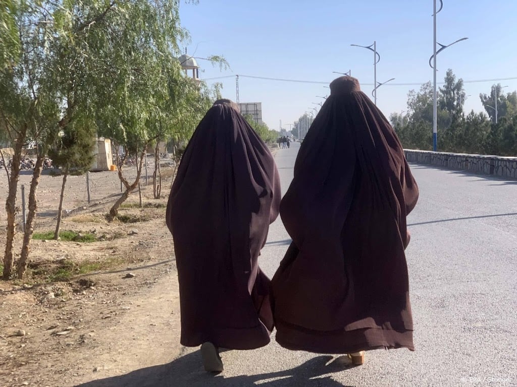 VN en ngo's bijeen over verbod Taliban op vrouwelijk personeel