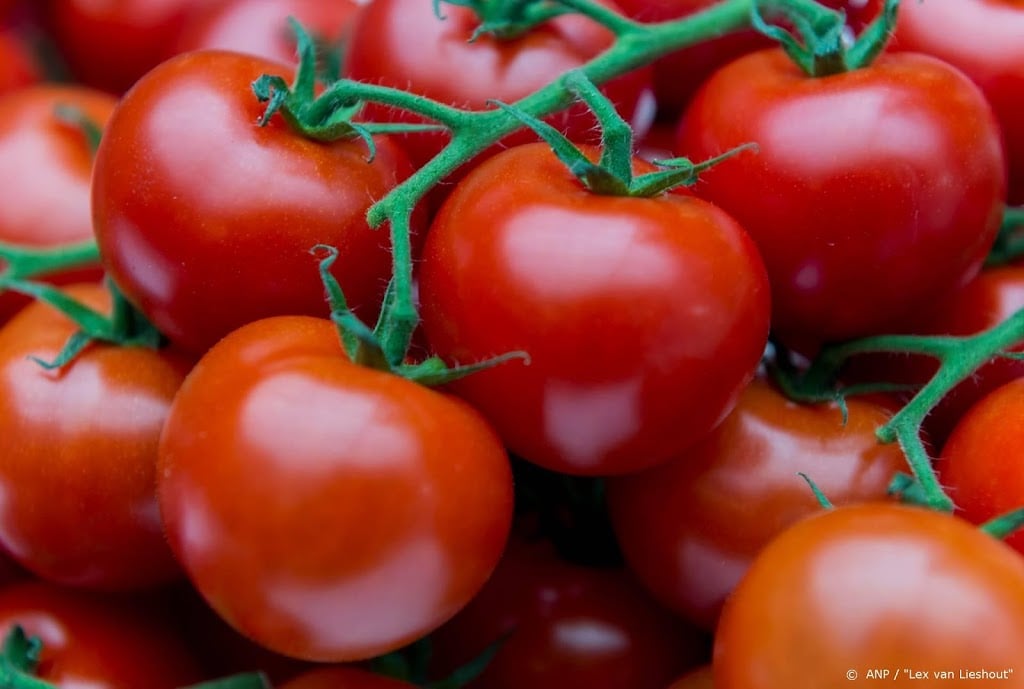 Agractie gaat boerenproducten voor 'symbolische prijs' verkopen