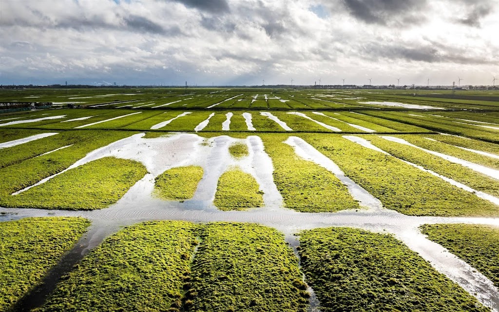 Boeren worden overladen met maatregelen, zegt LTO