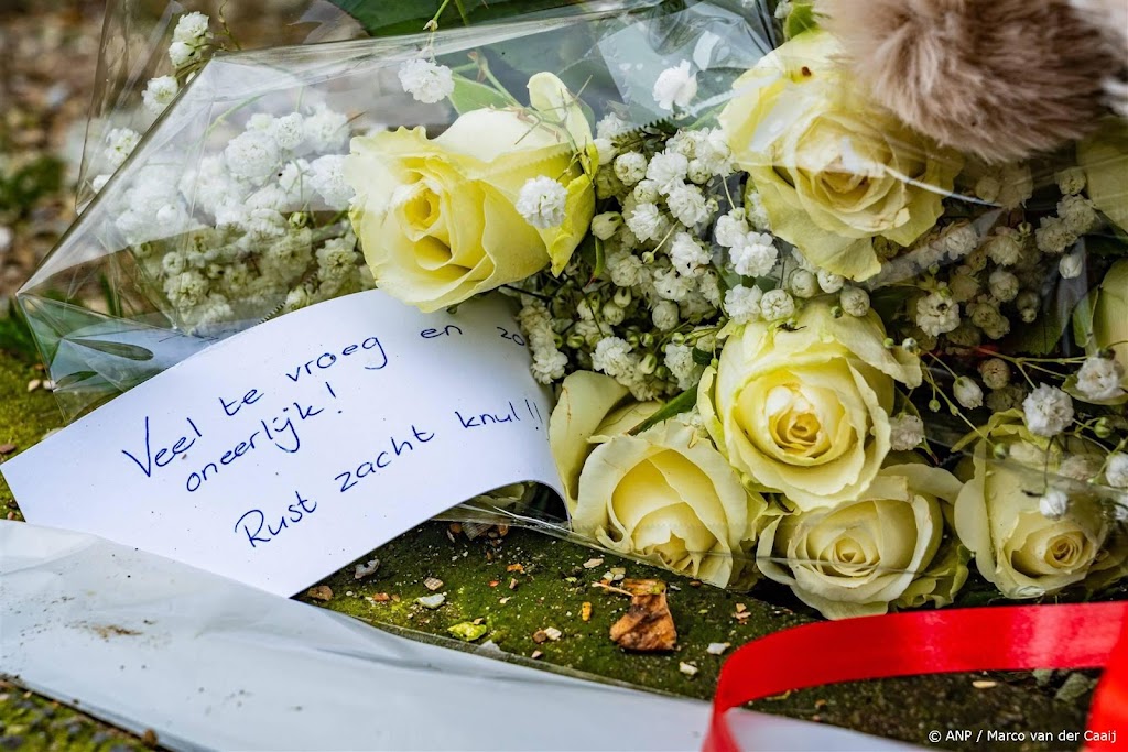Verdachte (13) doodsteken leeftijdsgenoot Schiedam blijft vast