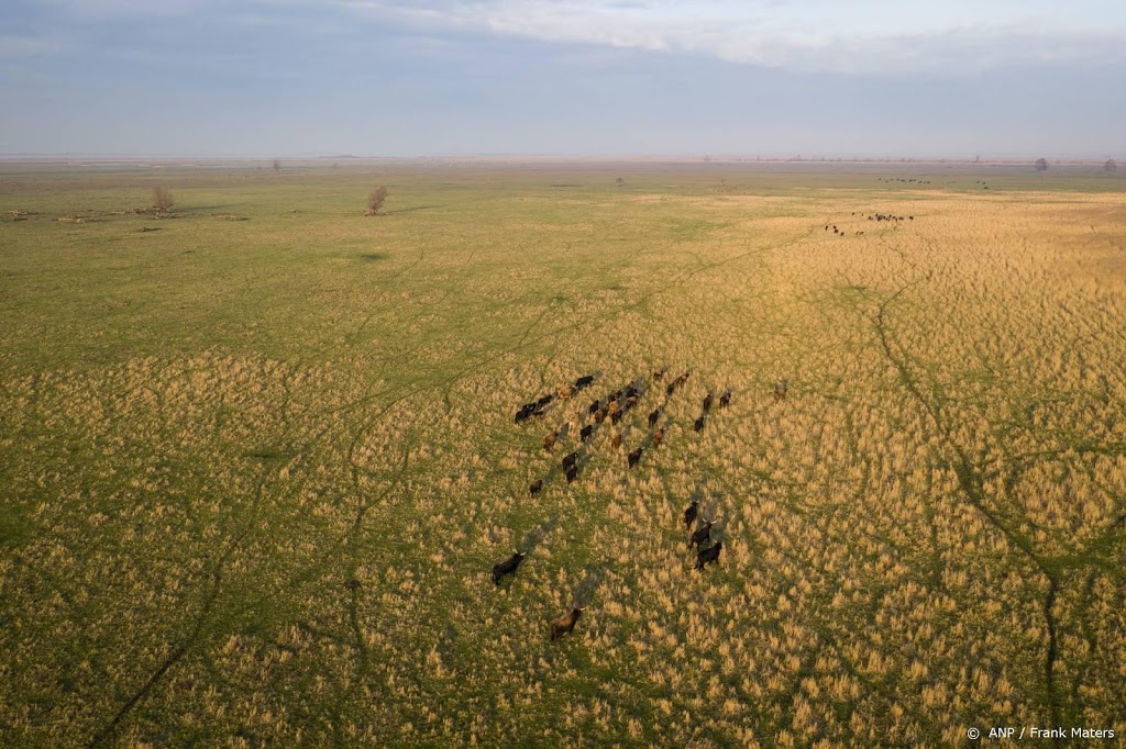 Edelherten Oostvaardersplassen mogen worden afgeschoten