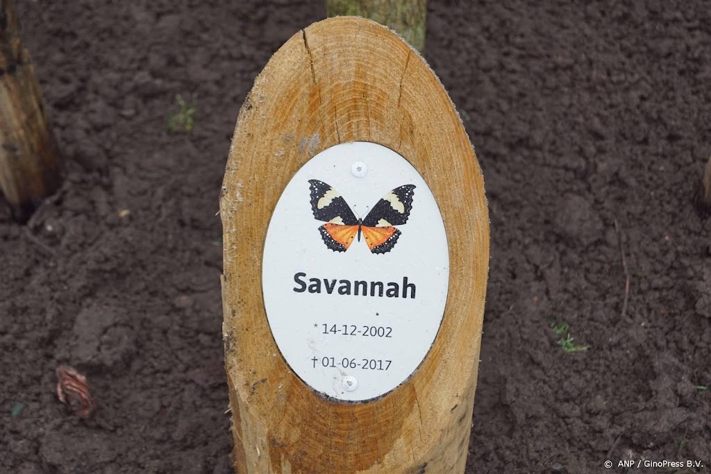Opnieuw verlenging jeugd-tbs voor man die Savannah (14) doodde
