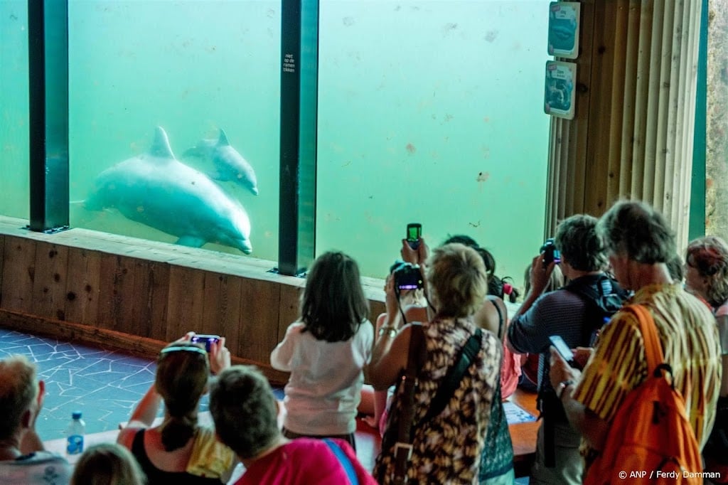 Dierenrechtenclub: uitspraak 'geen overwinning' voor Dolfinarium
