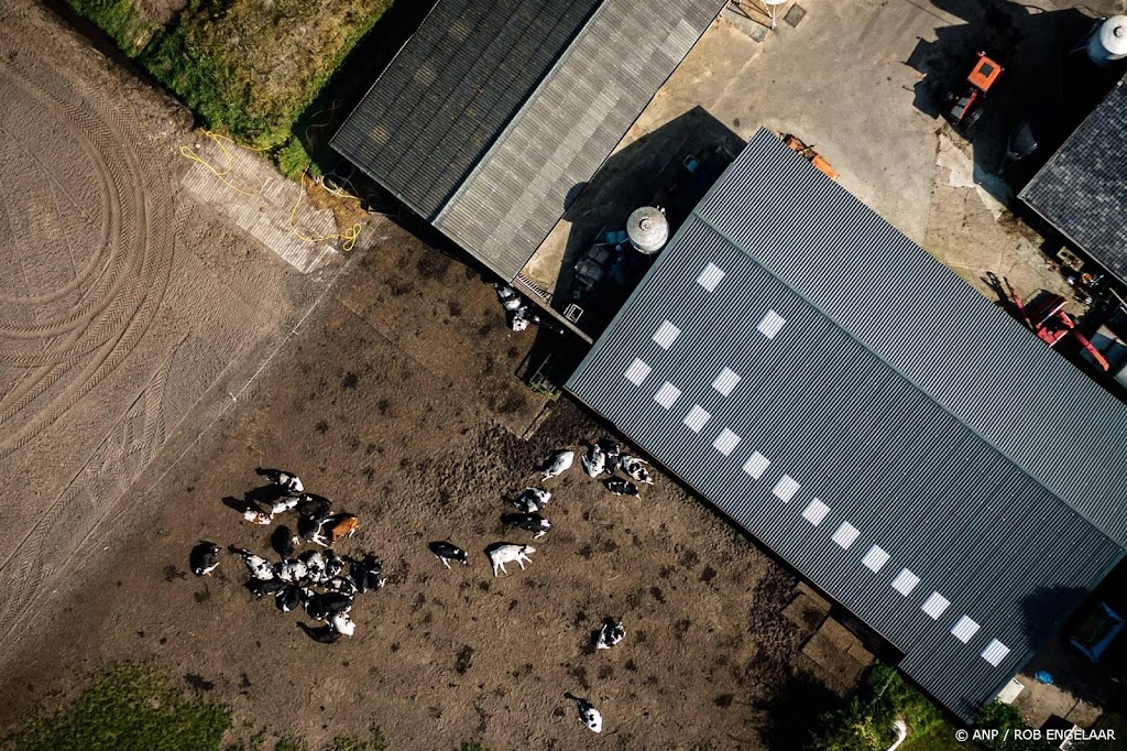 Advies: stop met bevoordelen boeren bij financieringsregelingen