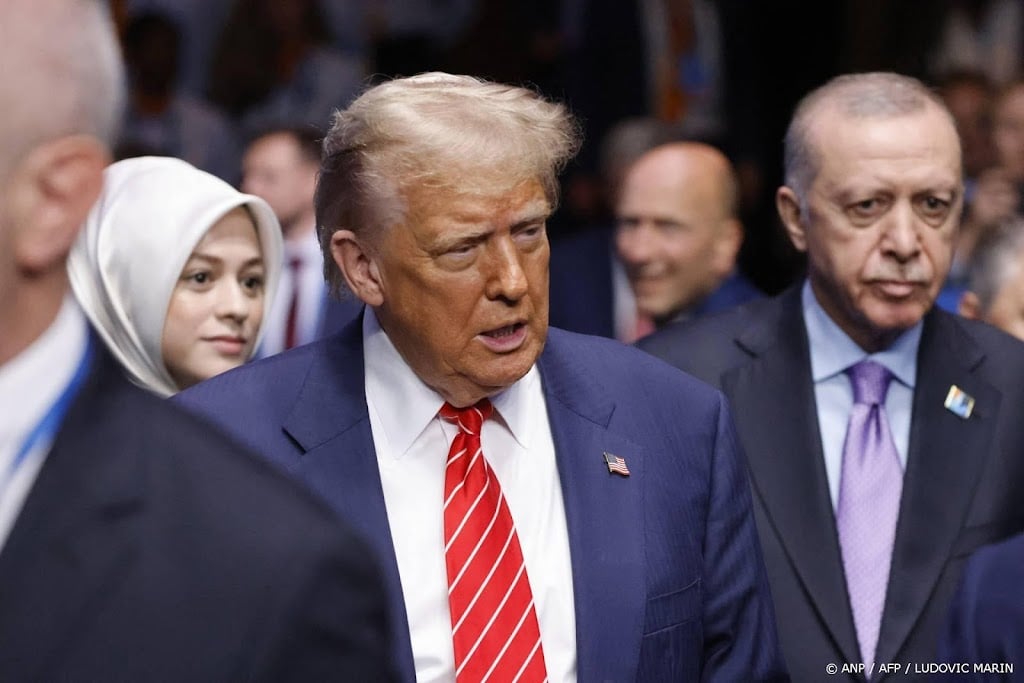 Erdogan zegt dat Trump naar Istanbul komt als Poetin dat ook doet