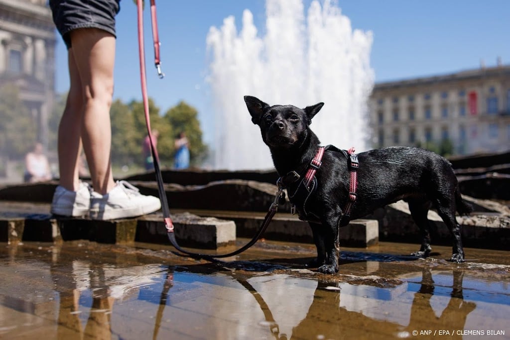 Duitsland meet met 41,3 graden zijn hoogste temperatuur ooit