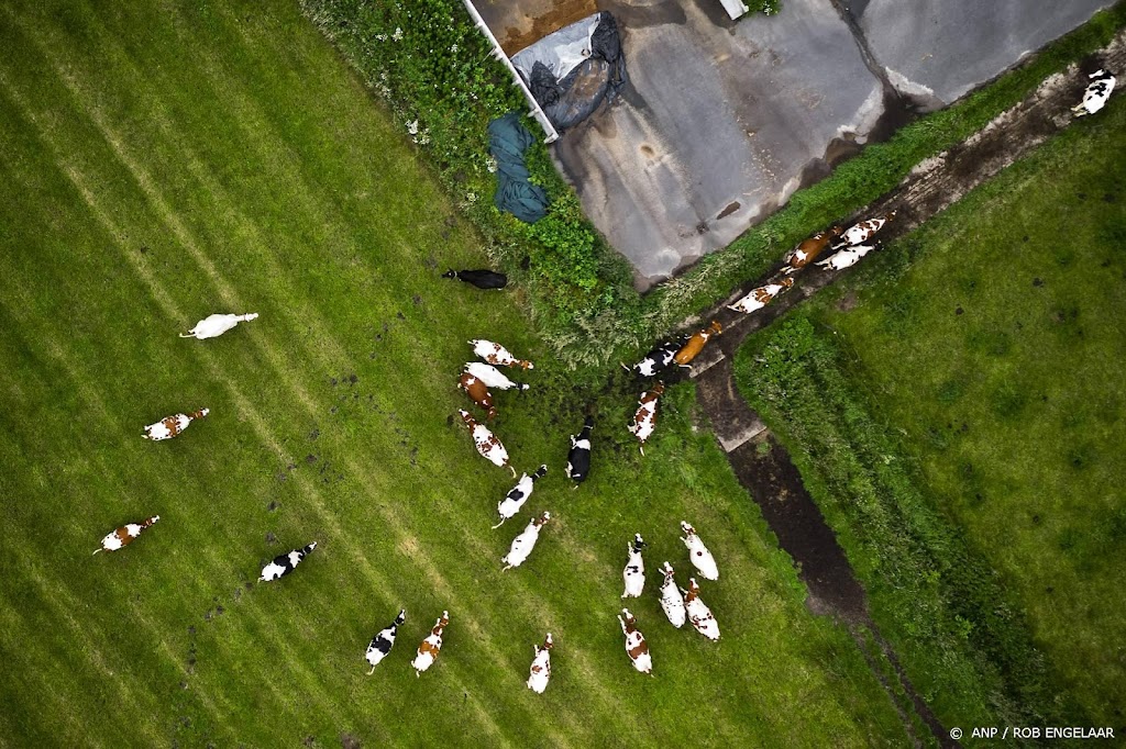 Makelaars: melkveeboerderijen populair door hoge melkprijs