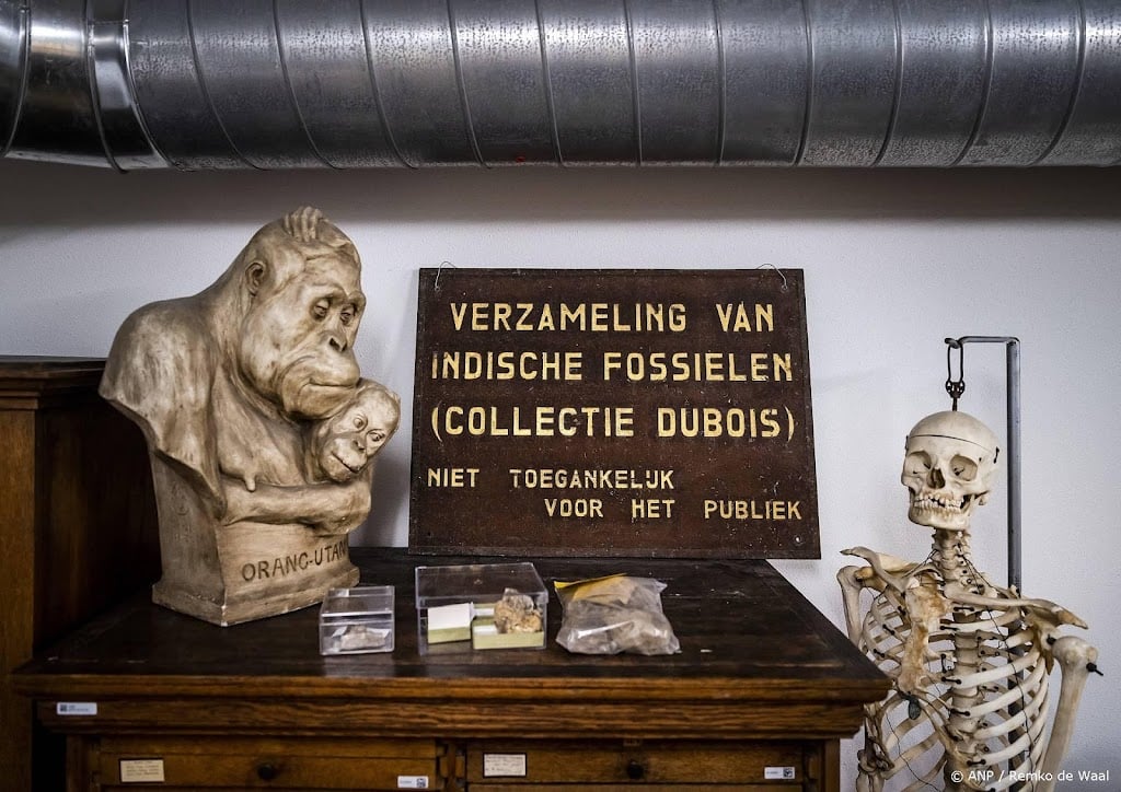 Nederland geeft fossielen Dubois-collectie terug aan Indonesië