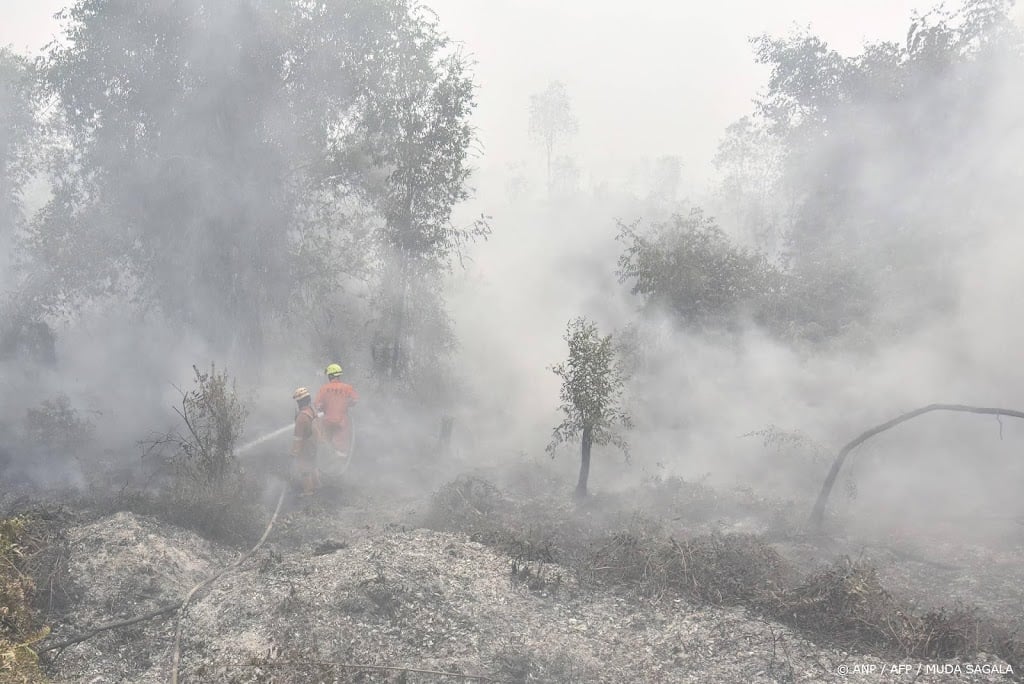 Branden in Indonesië gevaar voor ernstig bedreigde orang-oetan