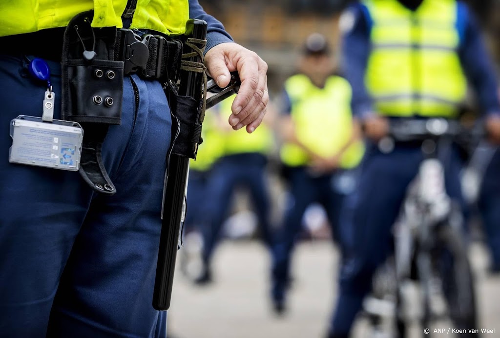 Merendeel grote gemeenten wil (nog) niet aan wapenstok voor boa's