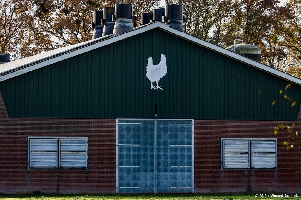 Vogelgriep vastgesteld op drie bedrijven in Limburg en Overijssel
