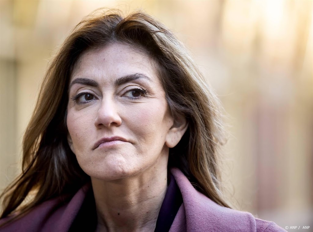 Yeşilgöz moet verdeelde VVD overtuigen van haar koers