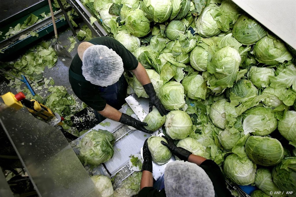 Ammoniaklek bij groenteverwerker Sevenum, 9 mensen onwel