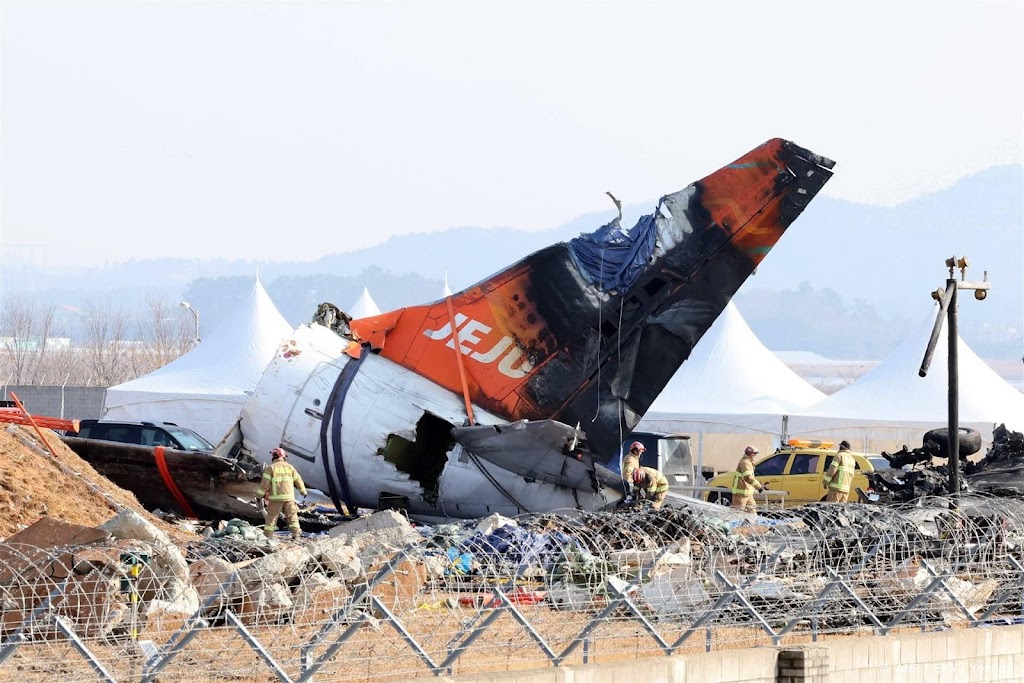 Vogelveren aangetroffen in motoren toestel Jeju Air na vliegramp