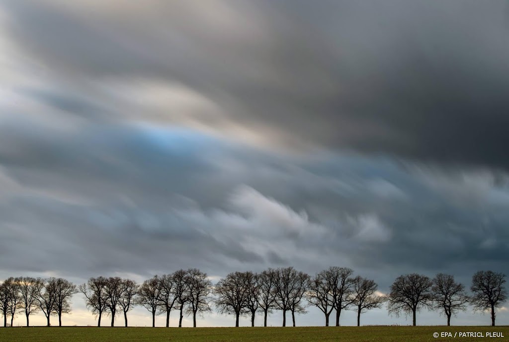 Winter was bijzonder zacht en sneeuwarm