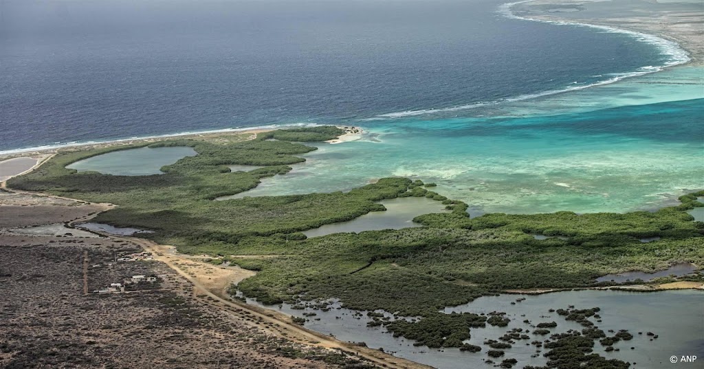 Olievervuiling op stranden van Bonaire