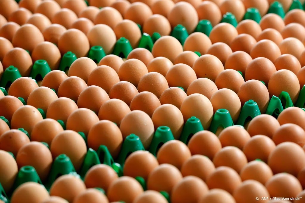 Scharreleieren verkocht in dozen voor Beter Leven-exemplaren