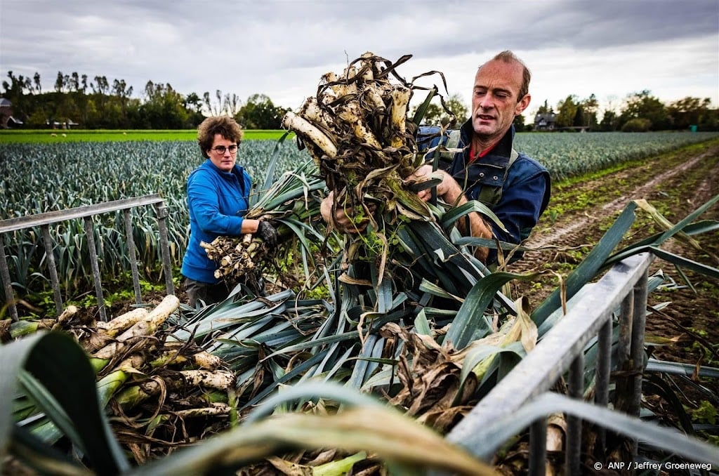 Nederlanders kochten afgelopen jaar vaker biologische producten