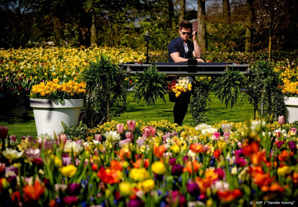 Verzekeraars pleiten voor garantiefonds voor festivals