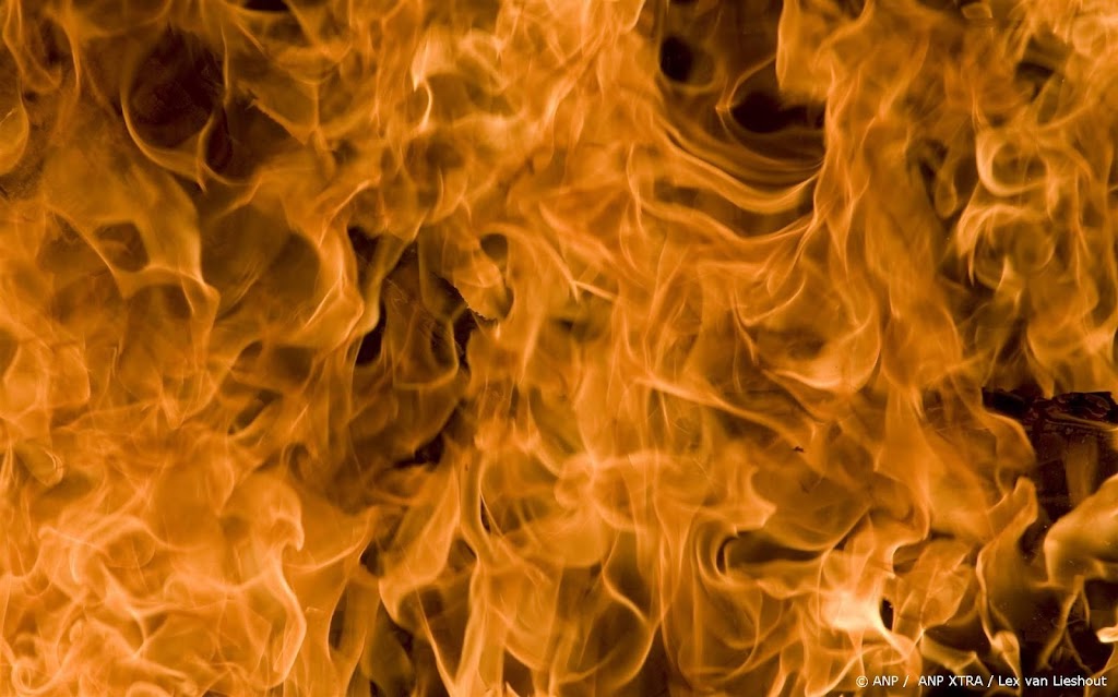 Vrouw raakt zwaargewond door brand in woning Oosterhout