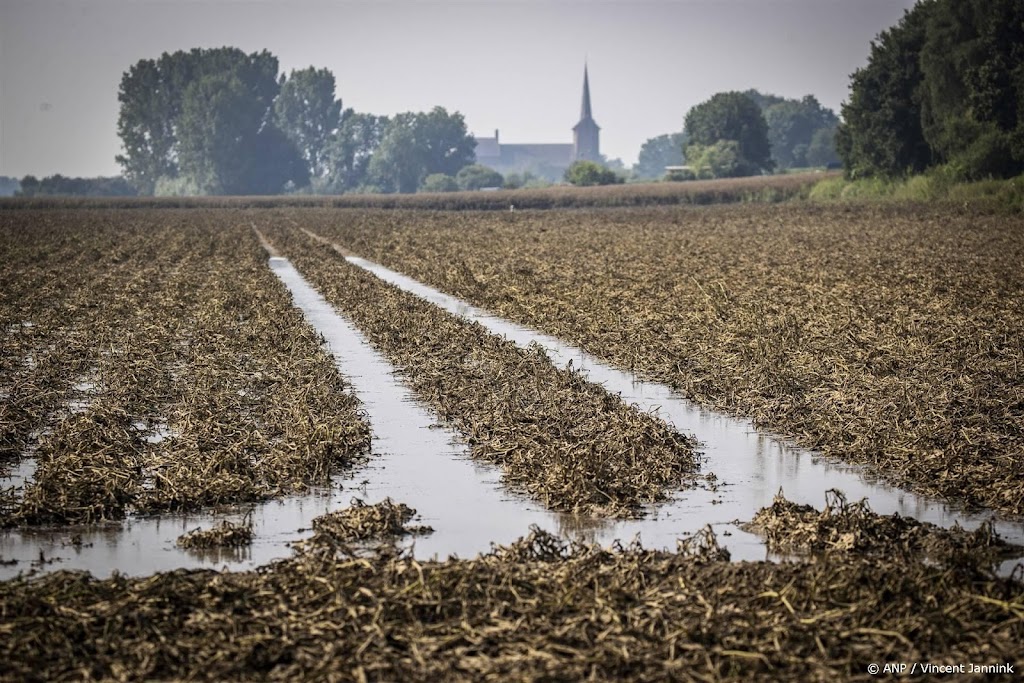 LTO: boeren en tuinders in de problemen door hevige regenval