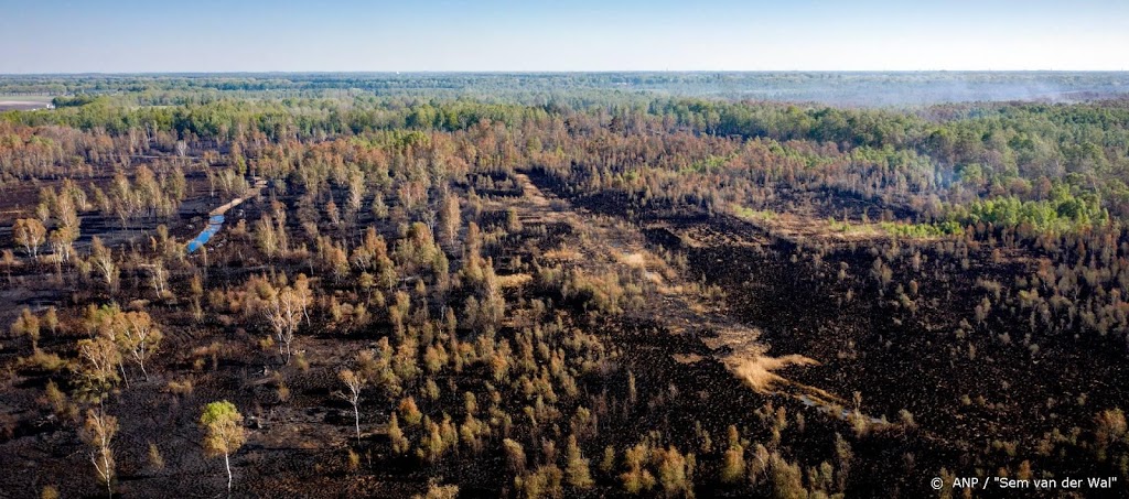 WWF: aantal natuurbranden blijft wereldwijd toenemen