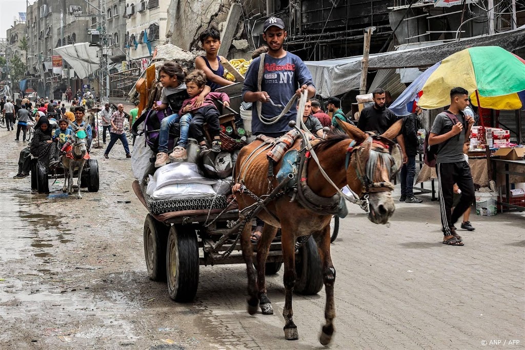 Internationale alliantie gaat noodhulp bieden aan dieren in Gaza