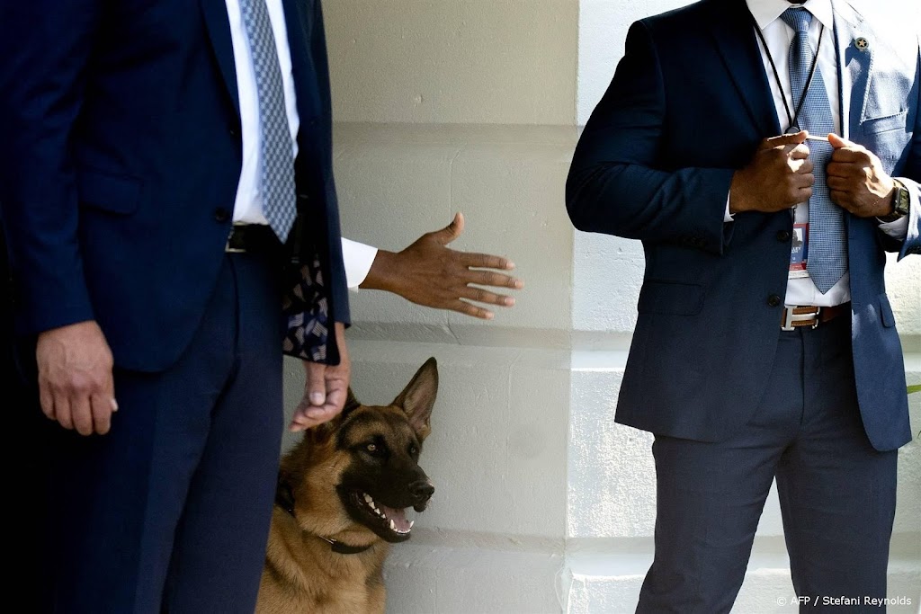 CNN: hond van Biden bijt Witte Huis-personeel voor de elfde keer