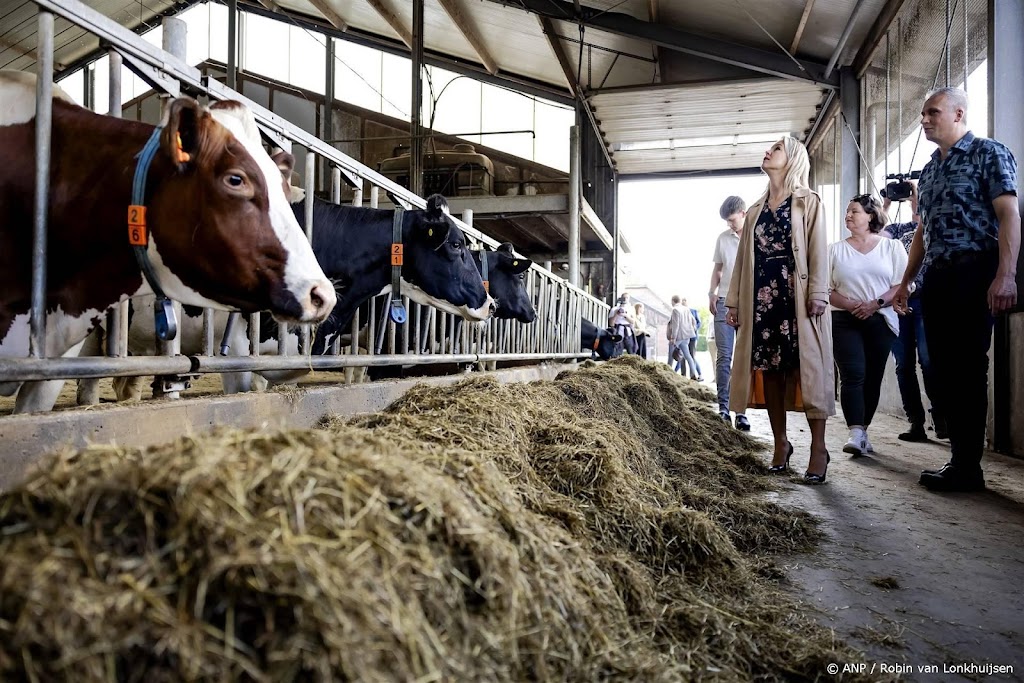 CNV: inkrimpen veestapel bedreigt baan 30.000 mensen