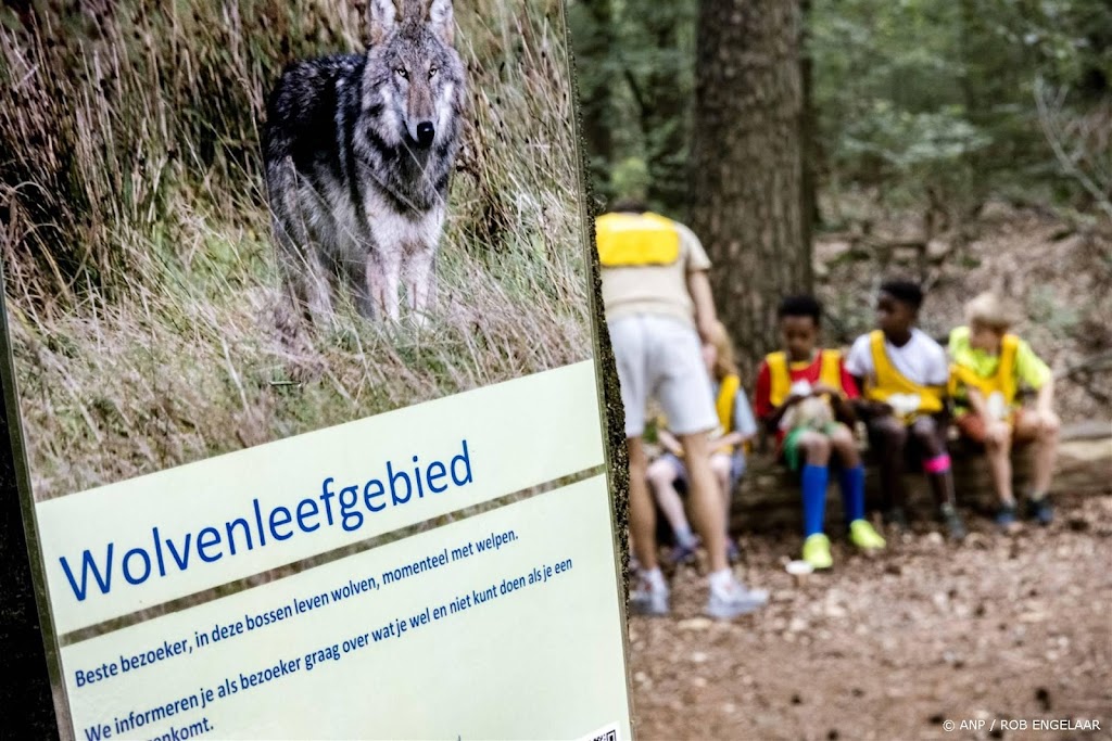 Helft van subsidies wolfwerende rasters nog niet gebruikt