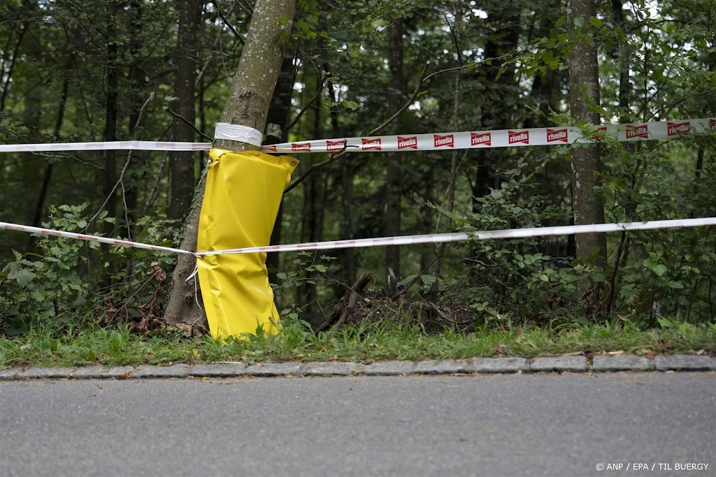 Zwitserse renster Furrer (18) overleden