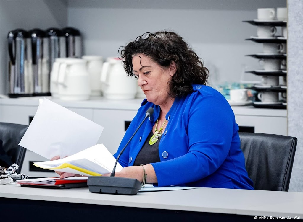 Provinciale fracties BBB bepalen eigen standpunt over windenergie