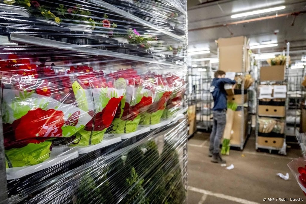 Bloemisten vrezen voor groot banenverlies door btw-verhoging
