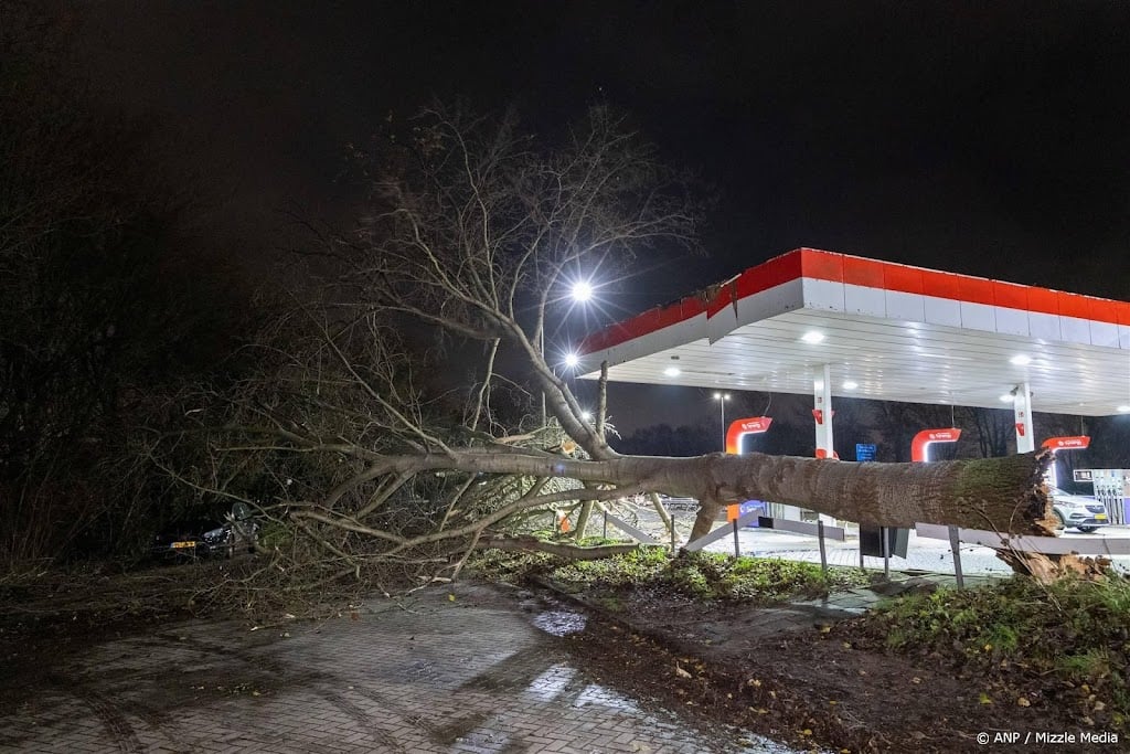 Fietser overleden door omvallende boom in Lochem