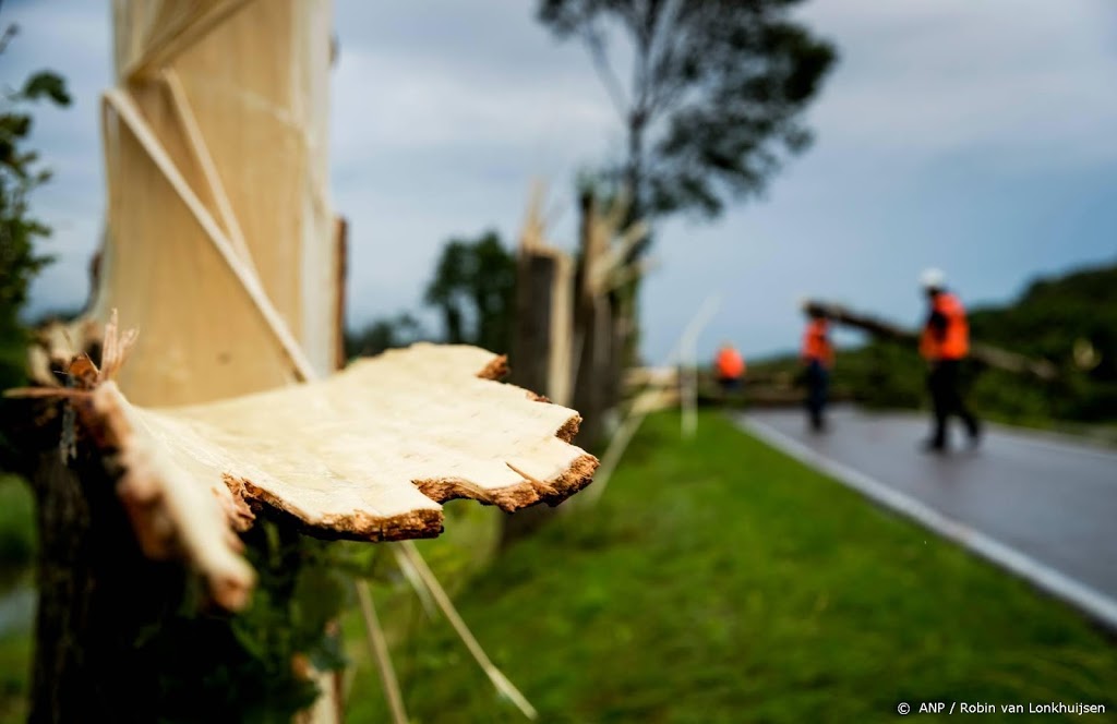 Omgewaaide bomen en bieten op de weg door windstoten