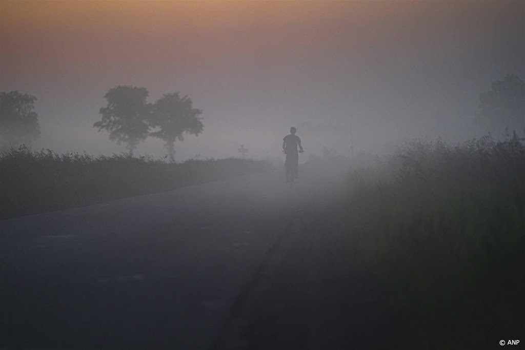 KNMI waarschuwt voor plaatselijk dichte mist 