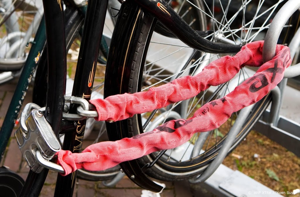 'Politie moet prioriteit geven aan oplossen fietsdiefstallen'