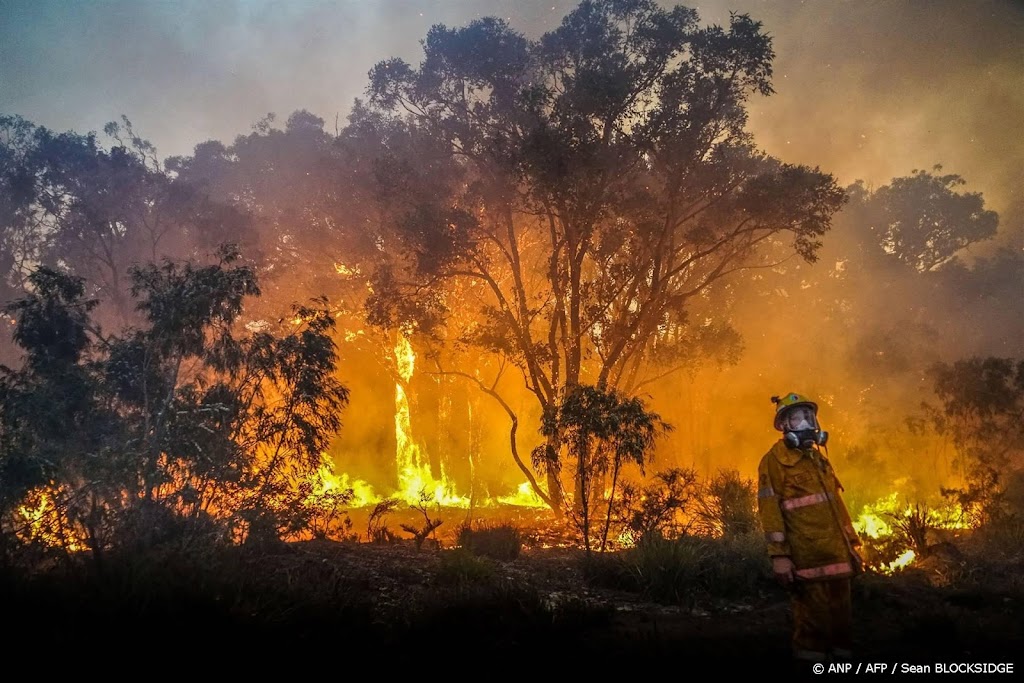 Tienduizenden Australiërs evacueren om dreiging van bosbranden