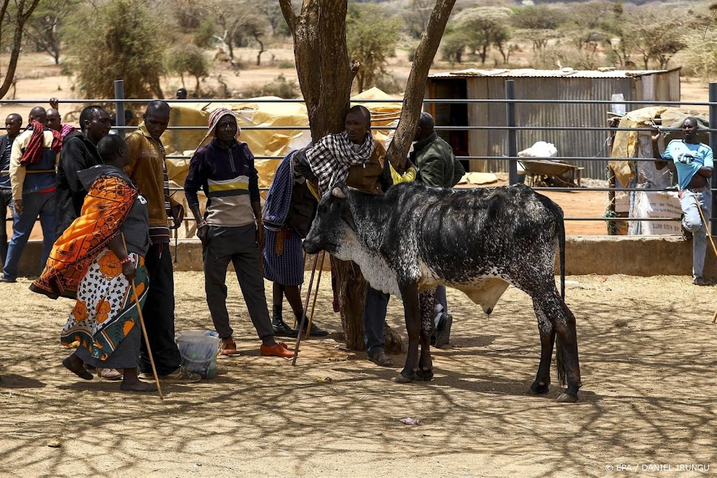 Bevestiging: klimaatcrisis verergert droogte in Hoorn van Afrika 