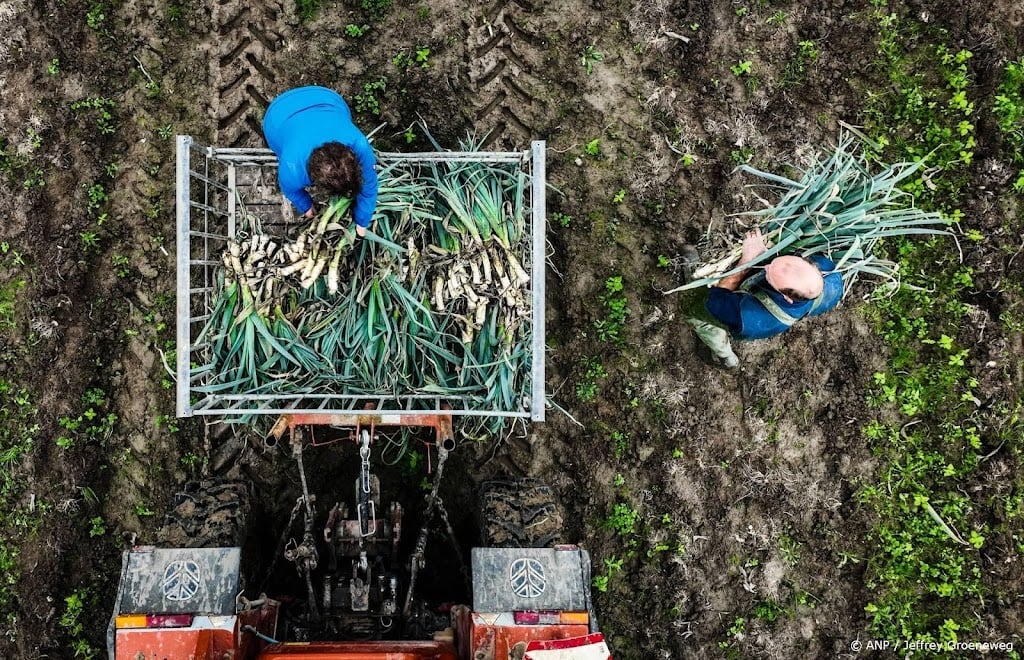 Consumentenbond: biologisch relatief duurder geworden in supers 