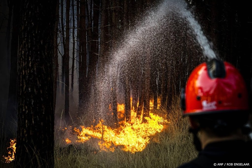 In bijna heel Nederland verhoogd risico op natuurbrand