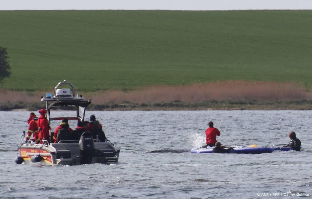 Bultrug Timmy onderweg naar de Noordzee