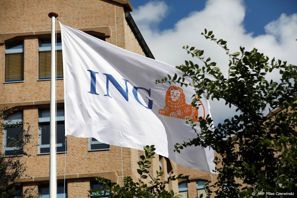 ING: stemming onder particuliere beleggers blijft erg somber