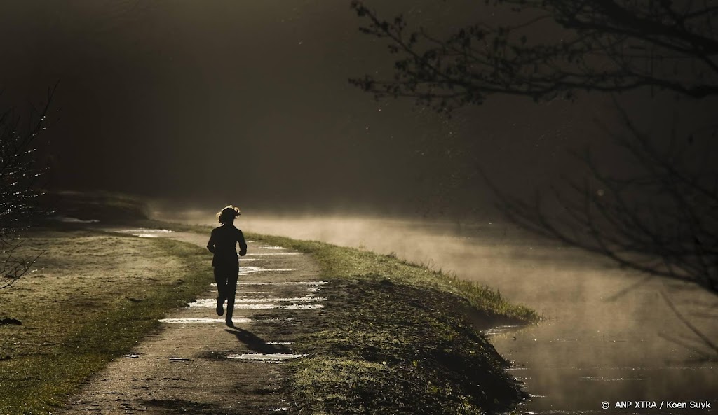 17-jarige opgepakt voor lastigvallen van vrouwen in park Deventer