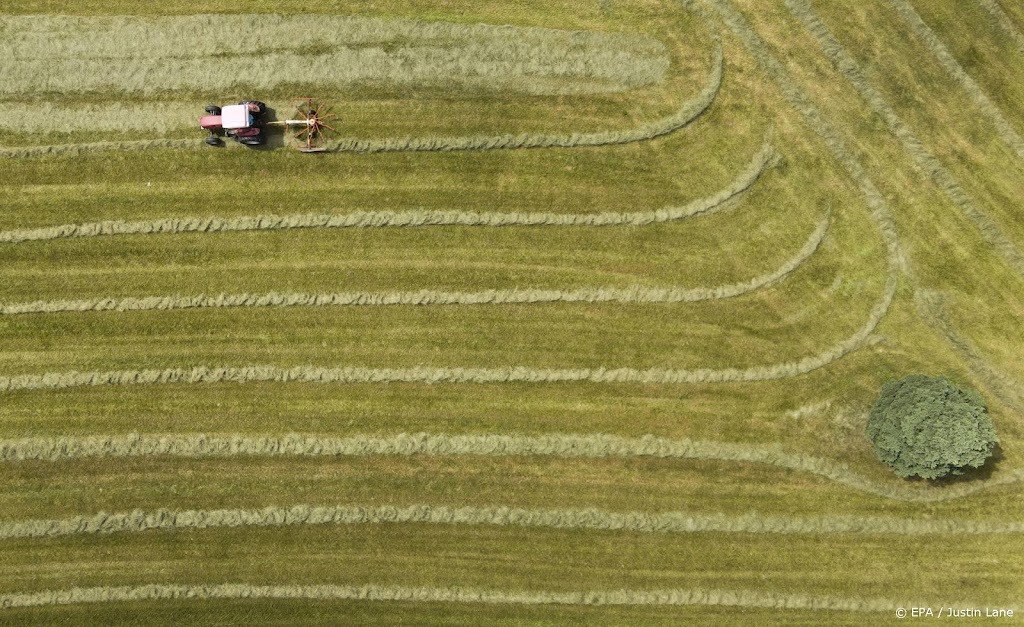 Rekenkamer: EU laat boeren te veel water verkwisten