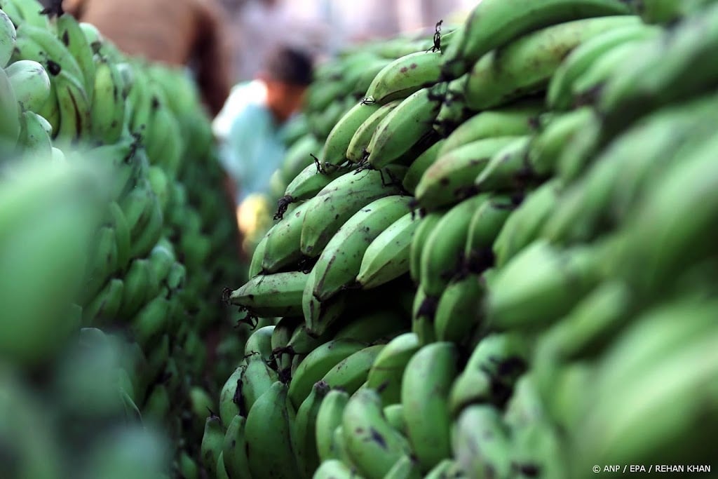 Bananenverkopers waarschuwen voor prijsverhogingen