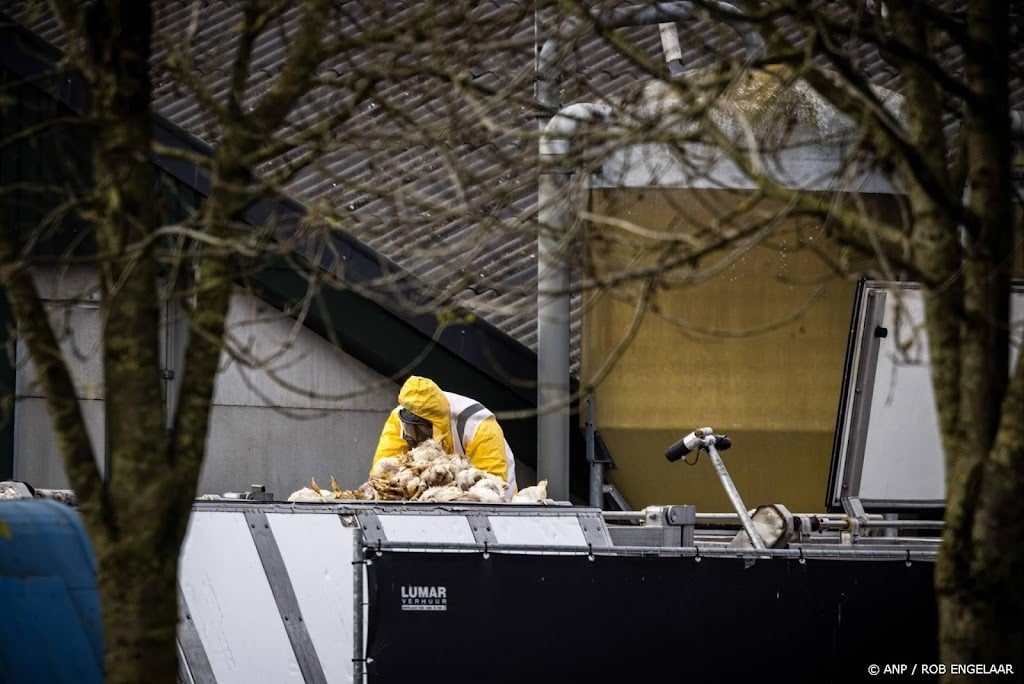 Deskundigengroep dierziekten maakt zich zorgen over vogelgriep
