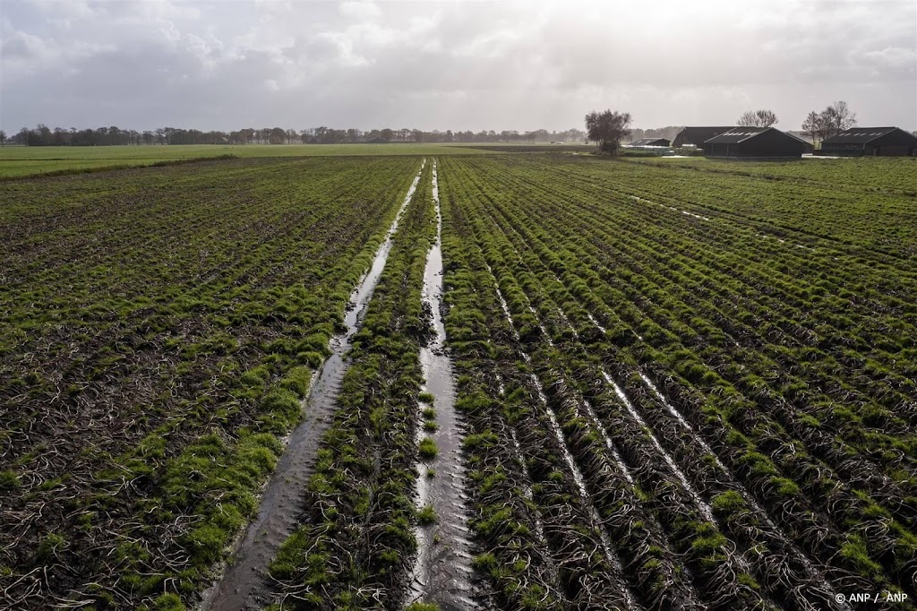 Verzekeraar: betere schaderegeling boer bij langdurige neerslag